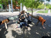 /album/kepgaleria-kezdolap/img-0534-jpg/