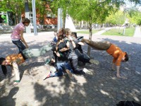 /album/kepgaleria-kezdolap/img-0535-jpg/